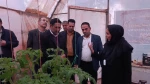 برگزاری جشن دانشجویی به مناسبت 16 آذر ماه روز دانشجو و هفته پژوهش با حضور جناب آقای دکتر جعفری کرمانی معاون محترم فرهنگی و دانشجویی دانشگاه ملی مهارت در دانشکده ملی مهارت کشاورزی پاکدشت 4