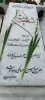 غبارروبی و عطرافشانی مزار شهید خوشنام دانشکده به مناسبت سالگرد ارتحال حضرت امام خمینی (ره) 2
