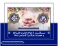 ســالـروز ازدواج حضرت علی(ع) 
و حضرت زهرا(س) گـرامی بـاد