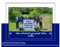 طنین تندرستی در ارتفاعات قره‌داغ/ کوهپیمایی کارکنان آموزشکده ملی مهارت اهر به مناسبت هفته سلامت