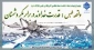 واقعه طبس:قدرت خداوند در برابر مکر دشمنان