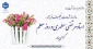 دوازدهم اردیبهشت ماه، سالروز شهادت فیلسوف فرزانه، استاد مرتضی مطهری و روز معلم گرامی باد.