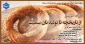 کارگاه آموزشی 