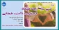 وبینار 