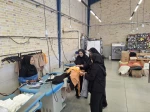 کنسرسیون اشتغال 2