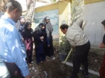 روز درختکاری